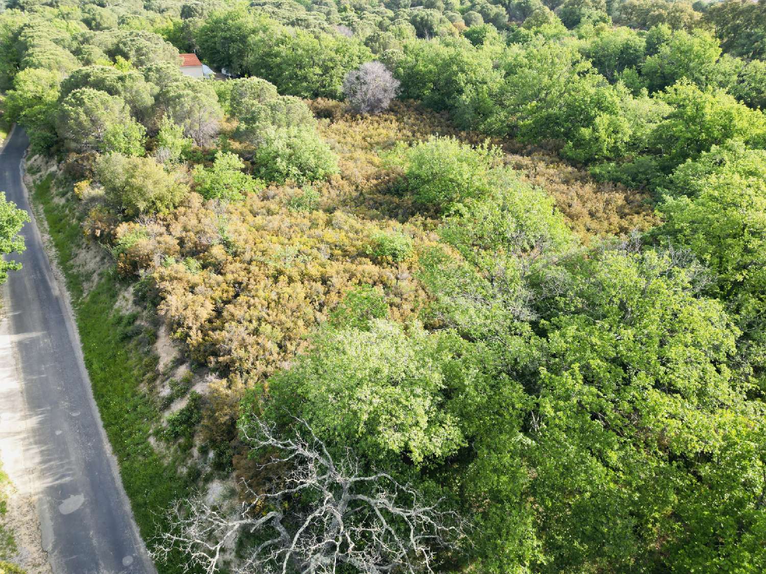 à vendre terrain Argelès-sur-Mer Pyrénées-Orientales 8