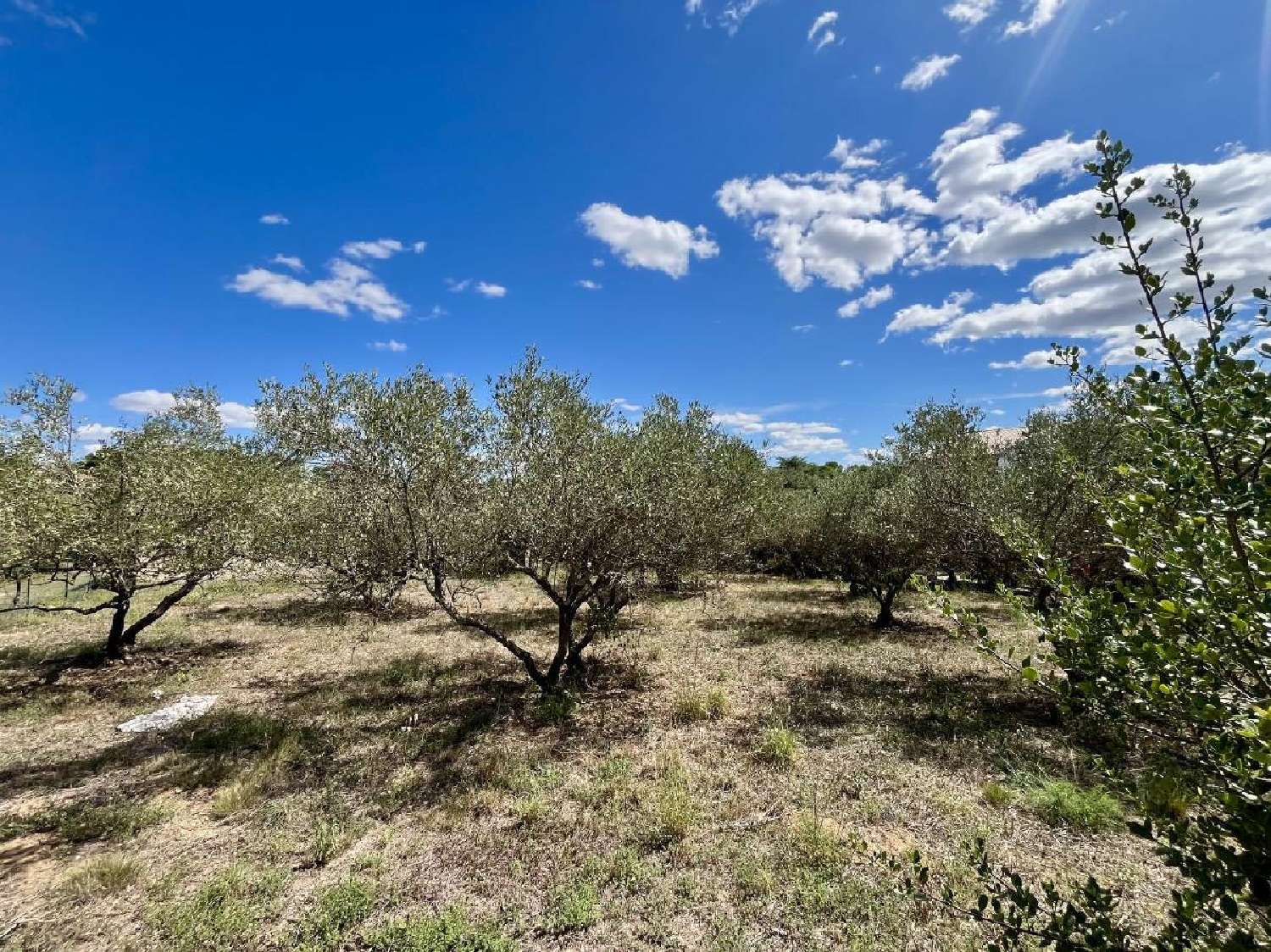 te koop terrein Aubais Gard 2