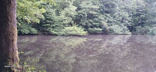 Auxelles-Bas Territoire de Belfort terrein foto 7225815