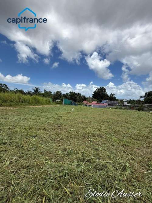 Baie-Mahault Guadeloupe terrein foto 7220811