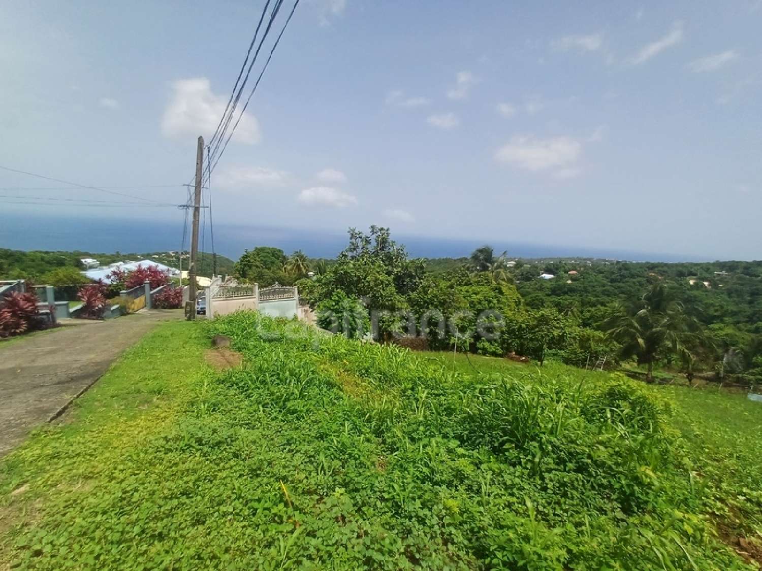 à vendre terrain Baillif Guadeloupe 5