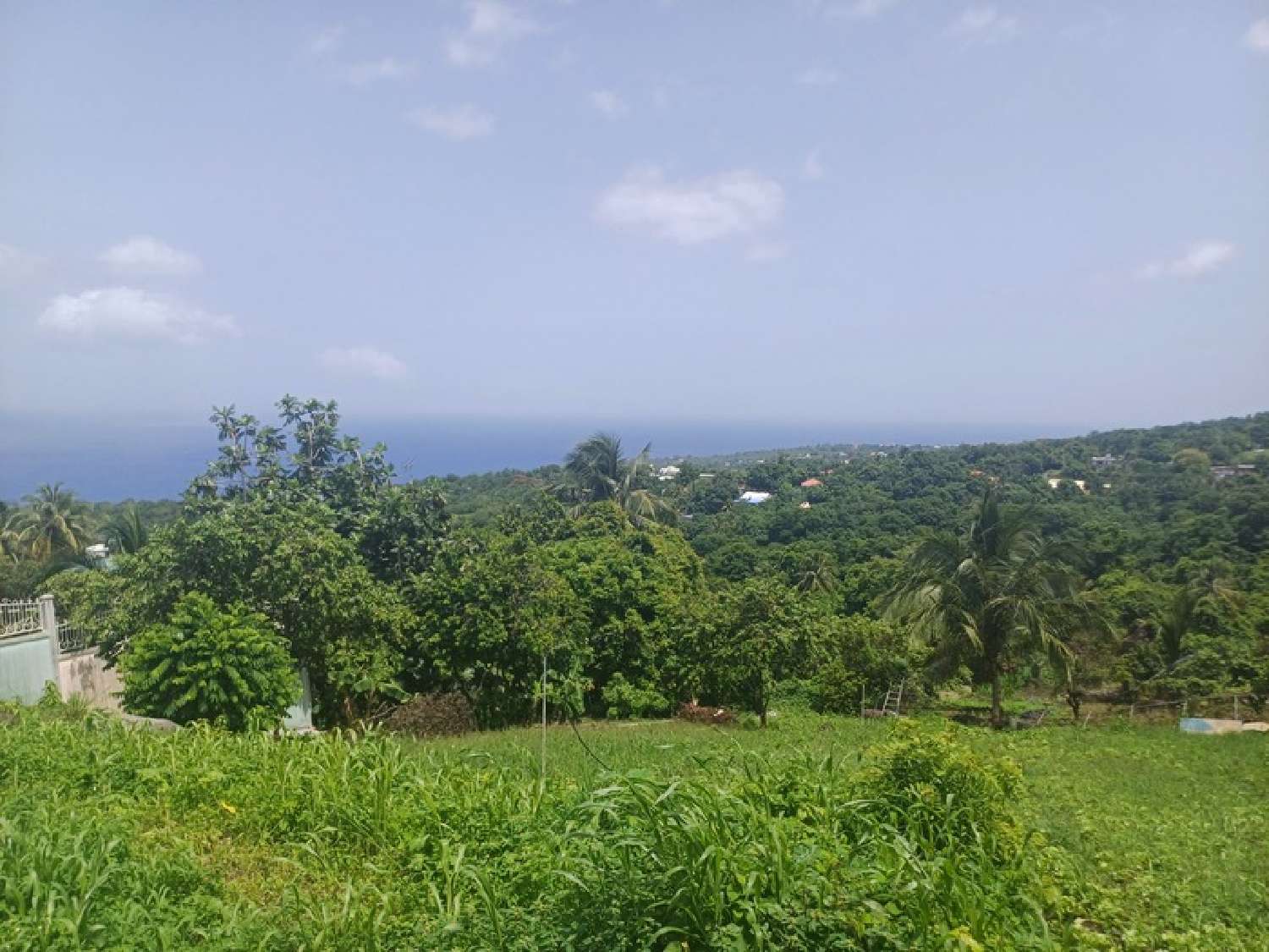  en venta terreno Baillif Guadeloupe 2