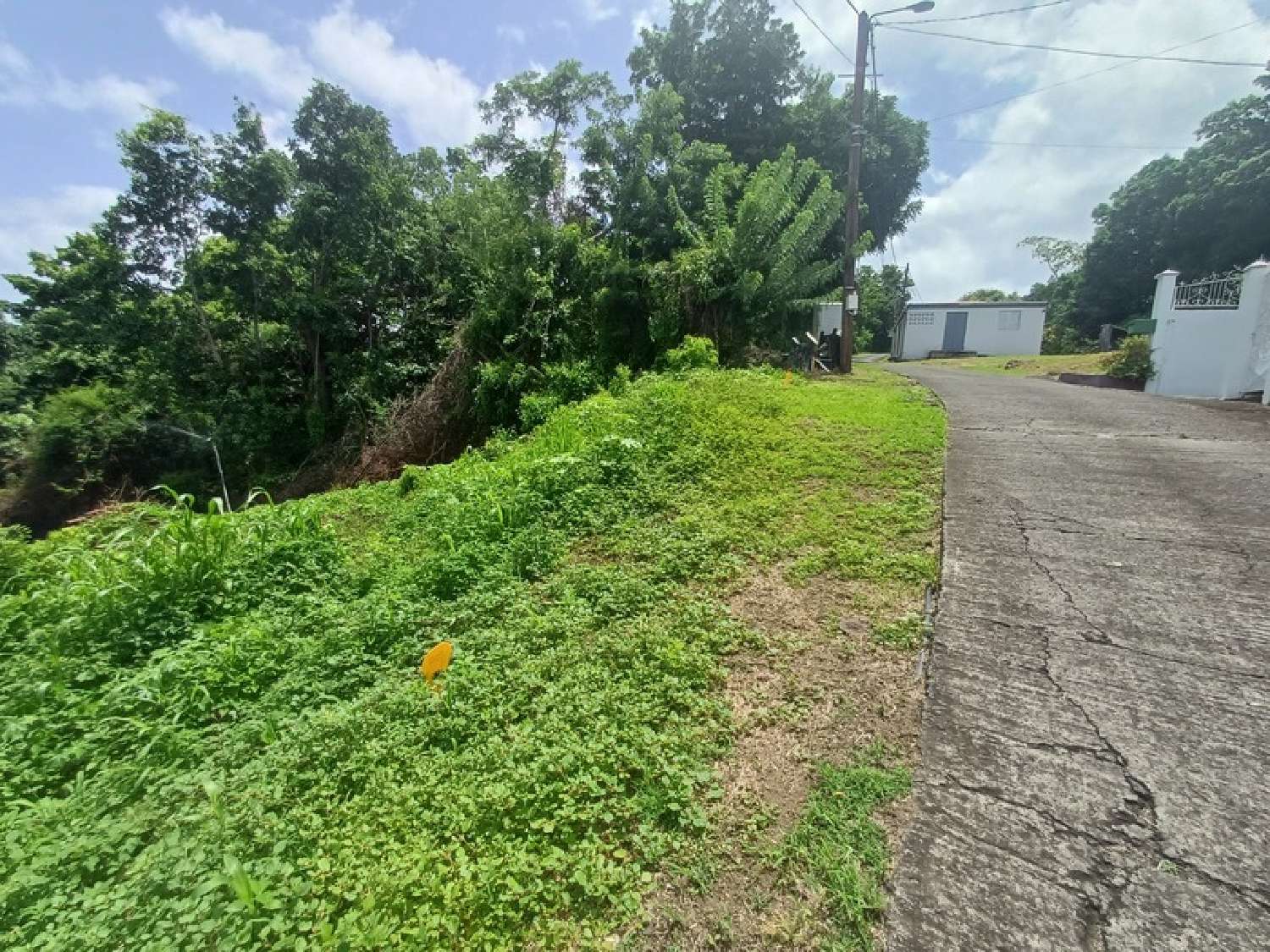 en venta terreno Baillif Guadeloupe 6