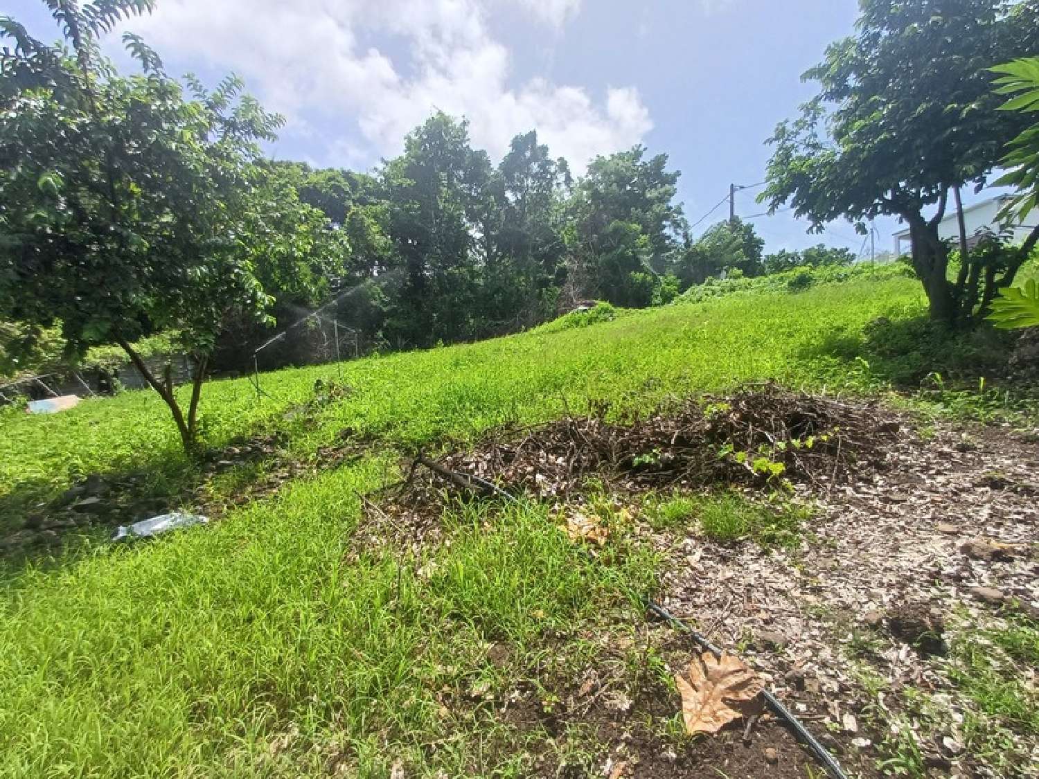  en venta terreno Baillif Guadeloupe 7