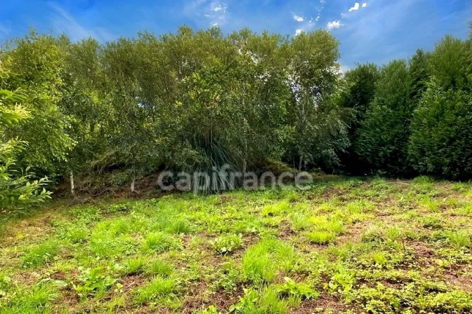  à vendre terrain Bain-de-Bretagne Ille-et-Vilaine 7