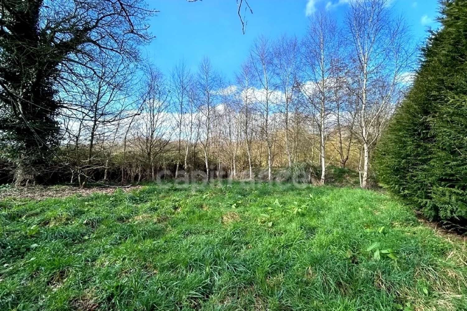  à vendre terrain Bain-de-Bretagne Ille-et-Vilaine 8