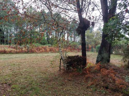 Biscarrosse Landes terrein foto 7220127