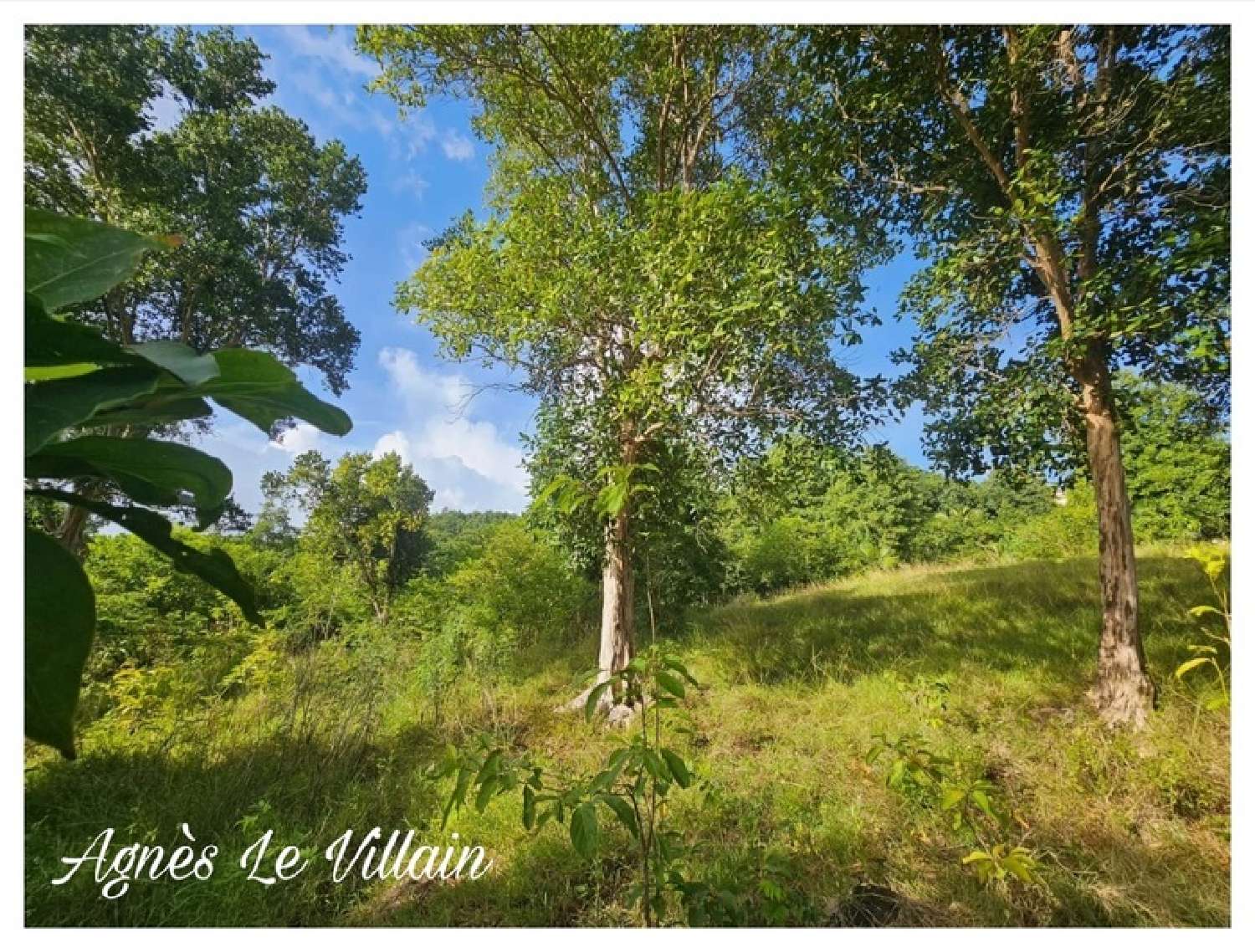 te koop terrein Bouillante Guadeloupe 3