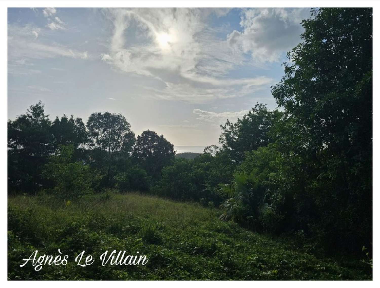 te koop terrein Bouillante Guadeloupe 6