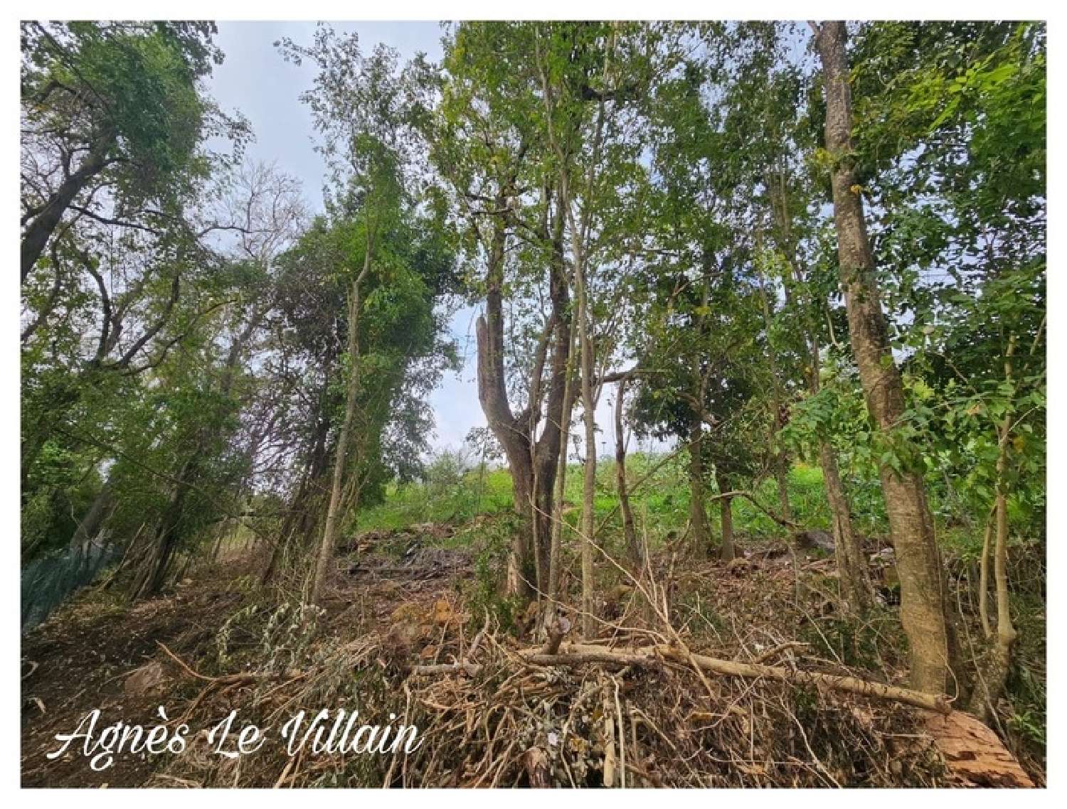 te koop terrein Bouillante Guadeloupe 5