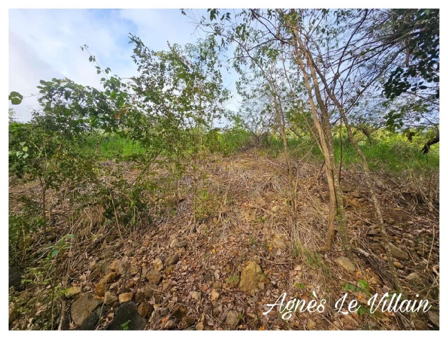 te koop terrein Bouillante Guadeloupe 6