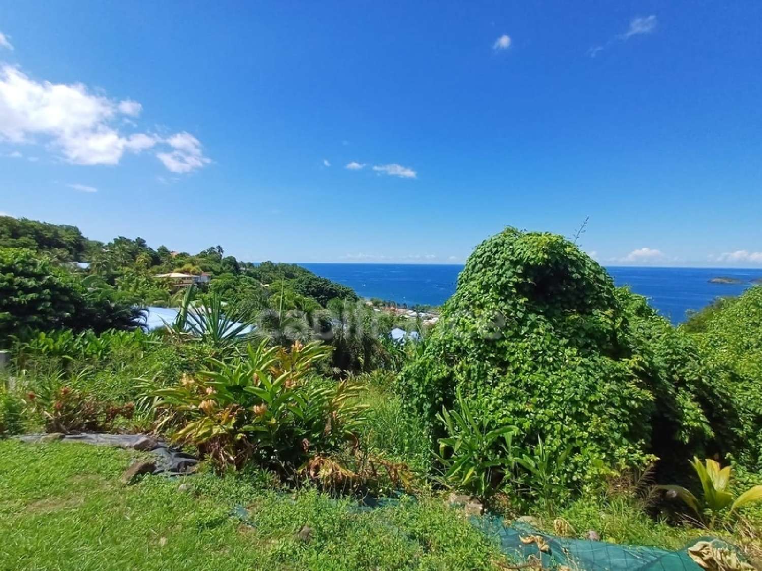 te koop terrein Bouillante Guadeloupe 2