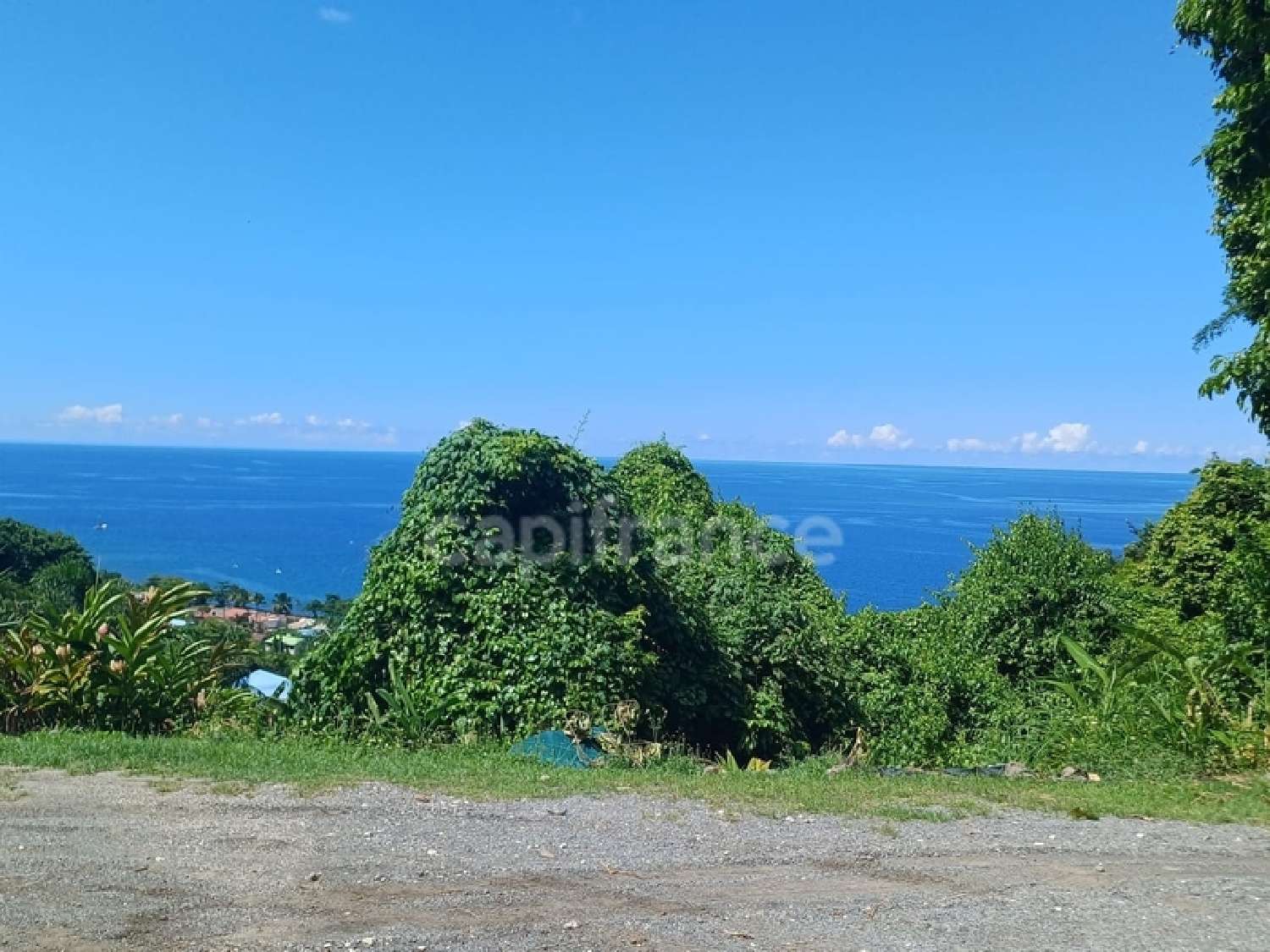 te koop terrein Bouillante Guadeloupe 3