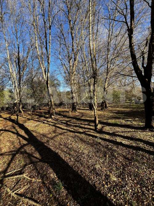 Bras Var terrein foto 7231390