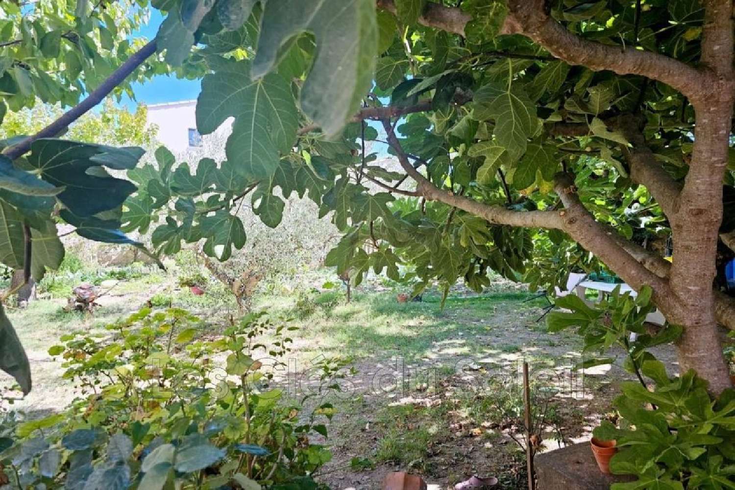  te koop terrein Brignoles Var 1