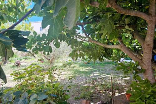 Brignoles Var terrein foto 7231002