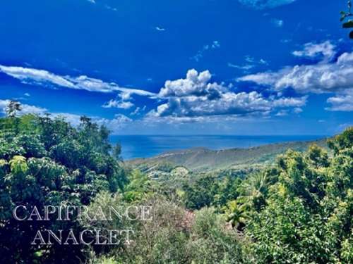 Case-Pilote Martinique Grundstück Bild 7221284