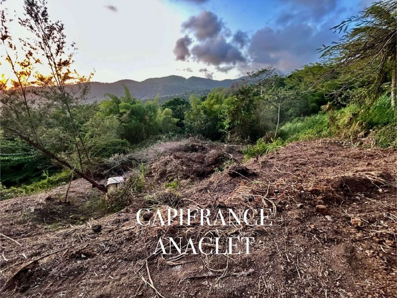 kaufen Grundstück Case-Pilote Martinique 3