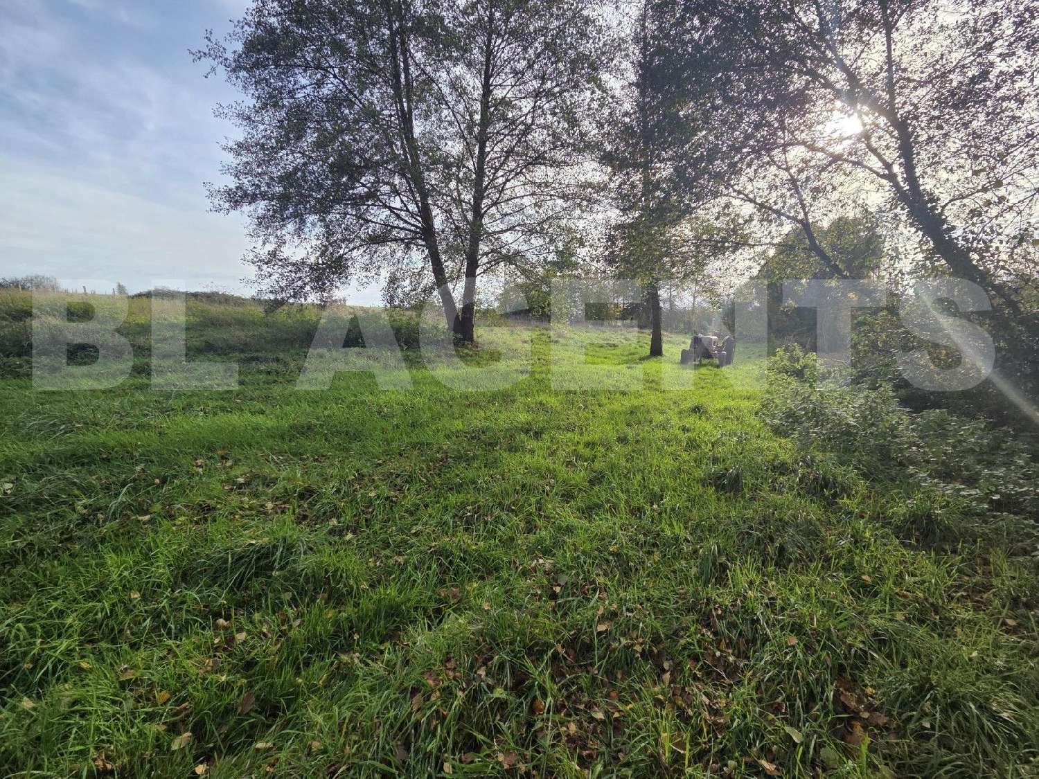  à vendre terrain Cérans-Foulletourte Sarthe 1