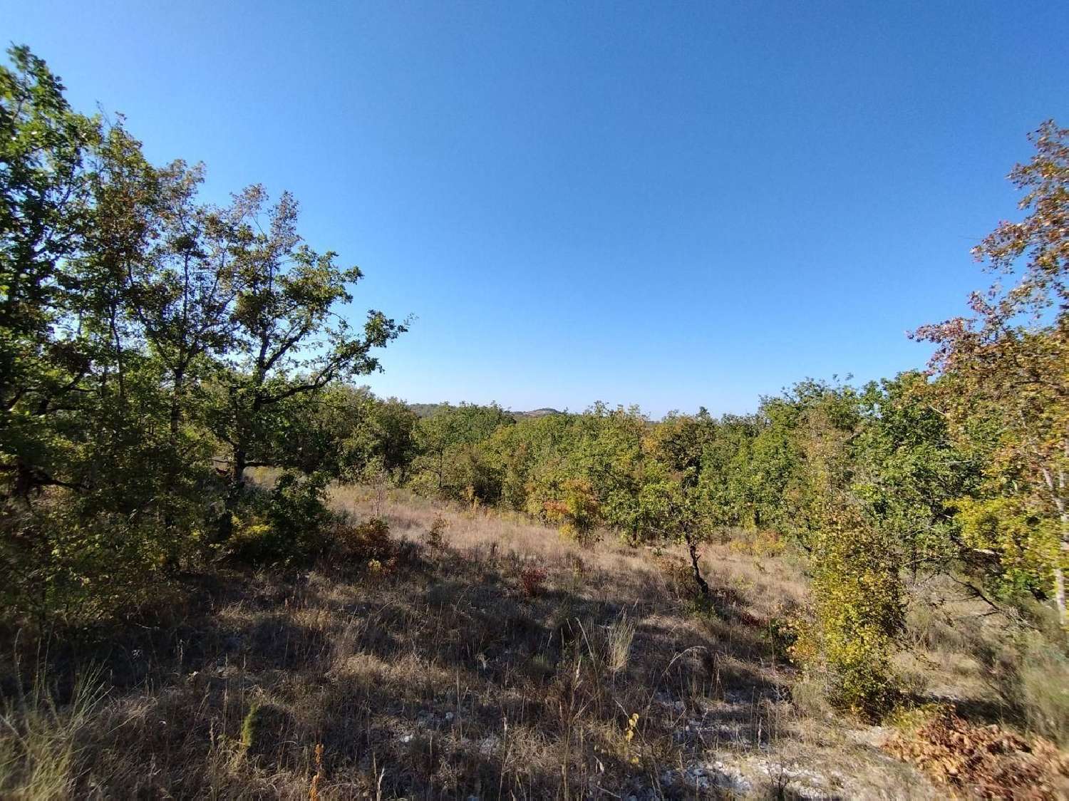  for sale terrain Cézac Lot 1