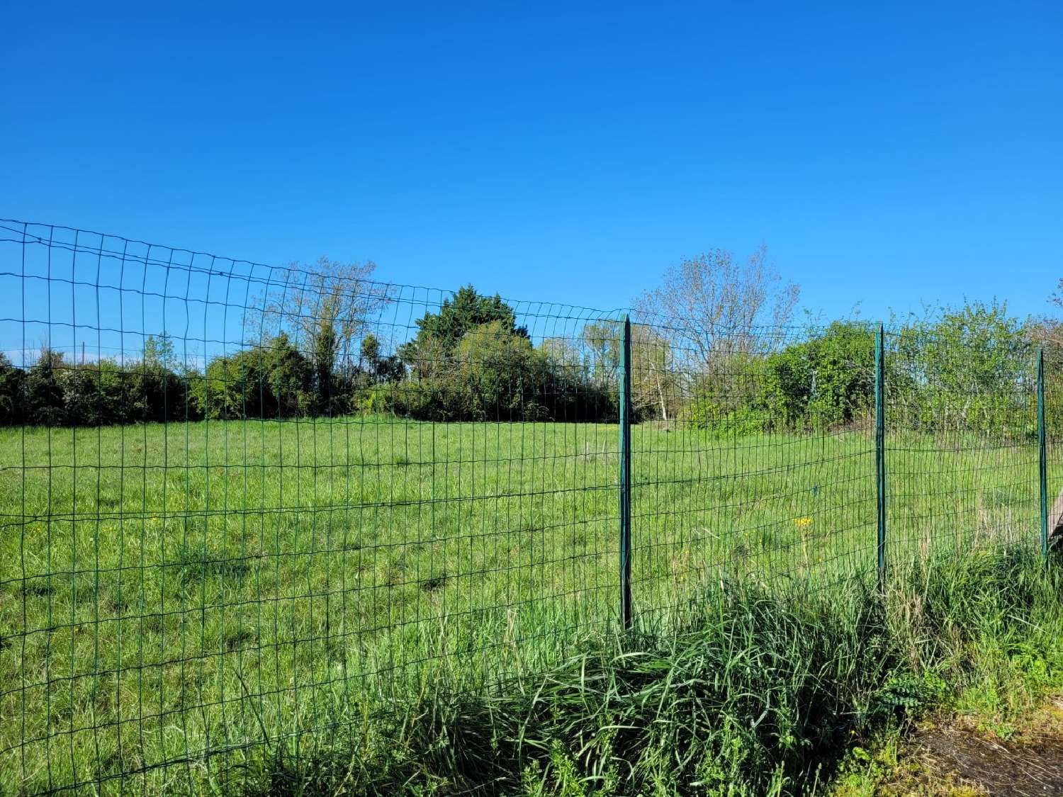  for sale terrain Cézac Lot 4