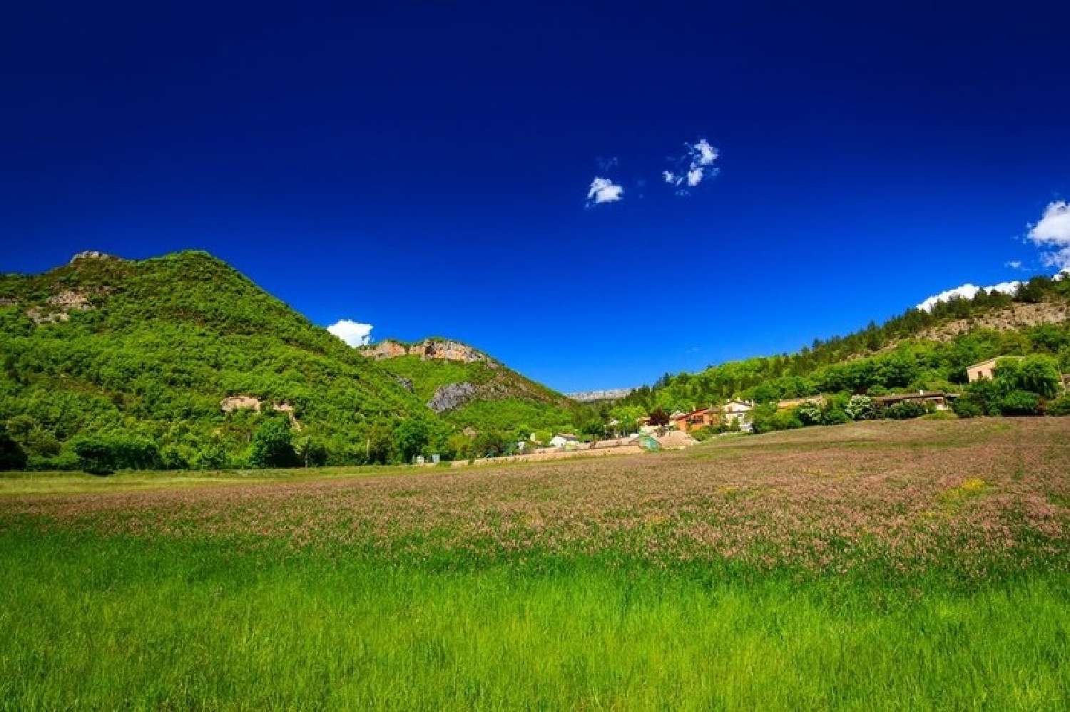  for sale terrain Chaudon-Norante Alpes-de-Haute-Provence 2