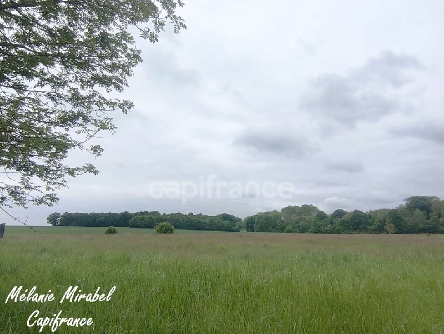 kaufen Grundstück Courdemanche Eure 1