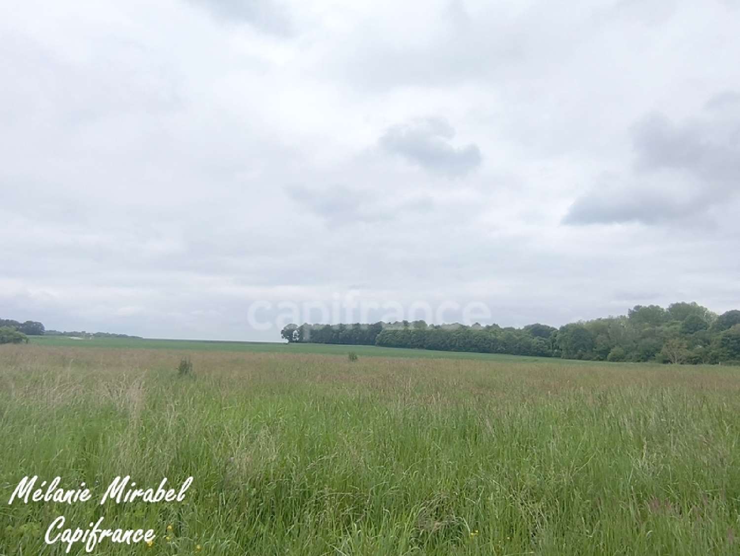 for sale terrain Courdemanche Eure 6