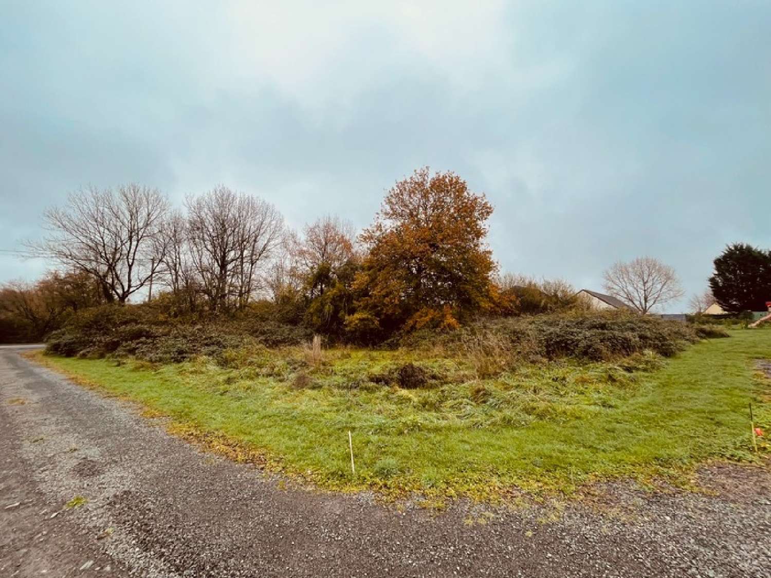 te koop terrein Cours-les-Barres Cher 1