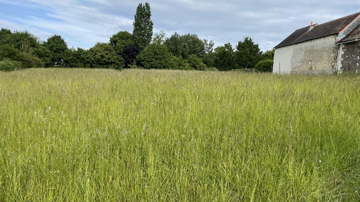  kaufen Grundstück Coussay-les-Bois Vienne 2