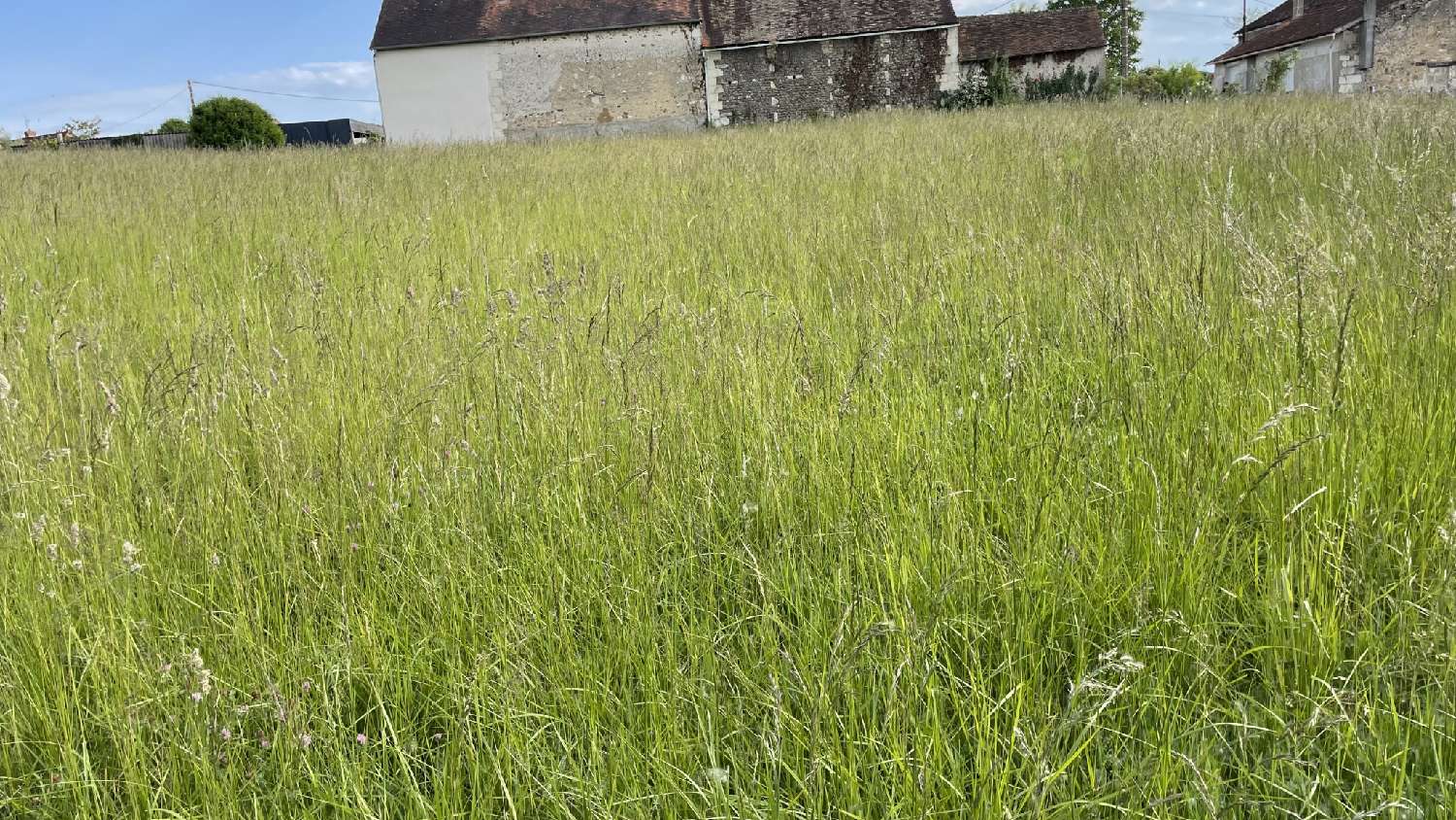  kaufen Grundstück Coussay-les-Bois Vienne 3