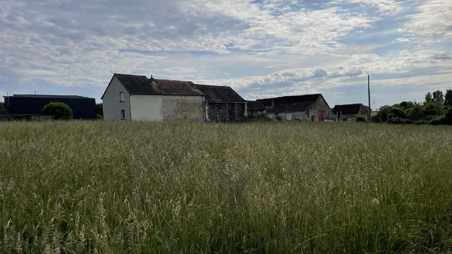  kaufen Grundstück Coussay-les-Bois Vienne 4