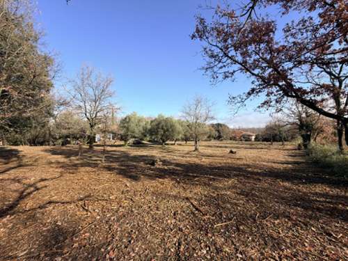 Cruviers-Lascours Gard terrein foto 7229730