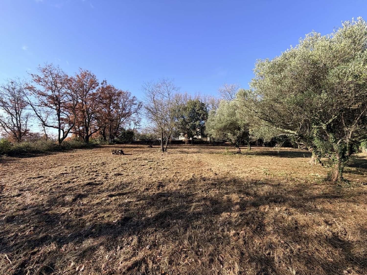  te koop terrein Cruviers-Lascours Gard 3