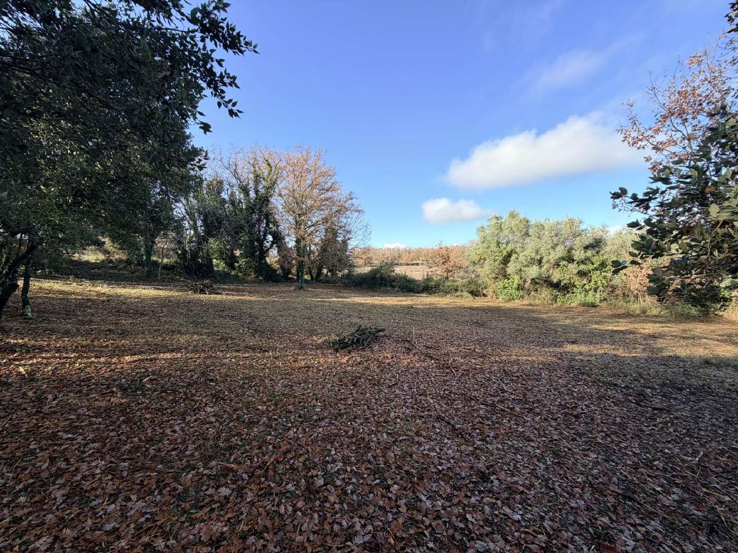 te koop terrein Cruviers-Lascours Gard 2