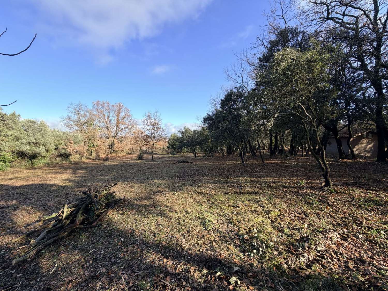 te koop terrein Cruviers-Lascours Gard 3