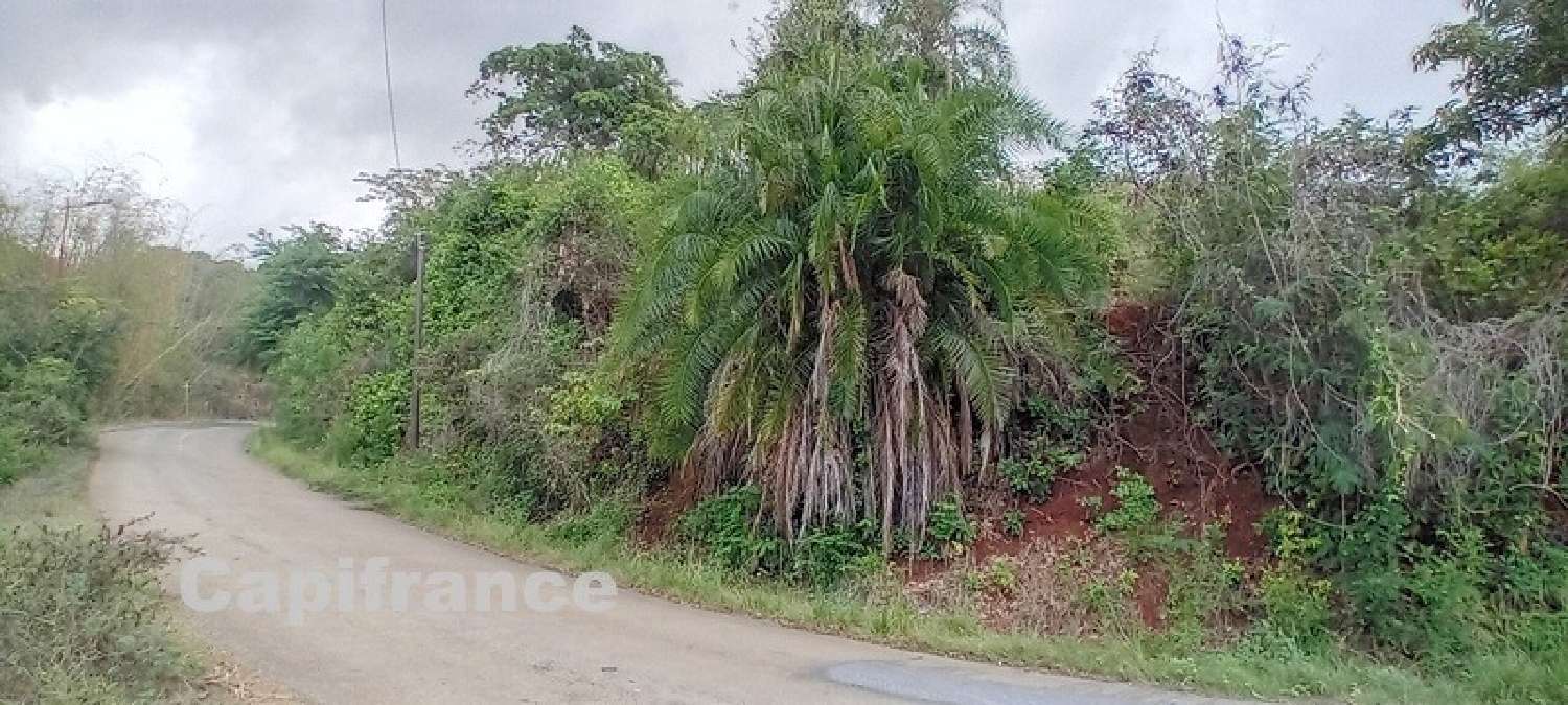 te koop terrein Dembeni Mayotte 3