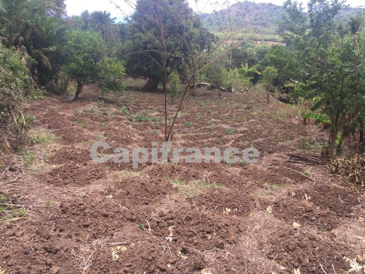 te koop terrein Dembeni Mayotte 3