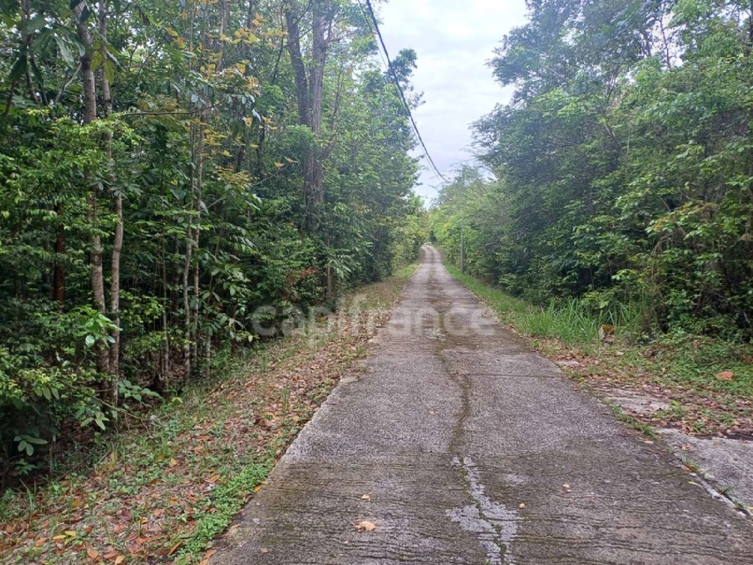 à vendre terrain Deshaies Guadeloupe 3
