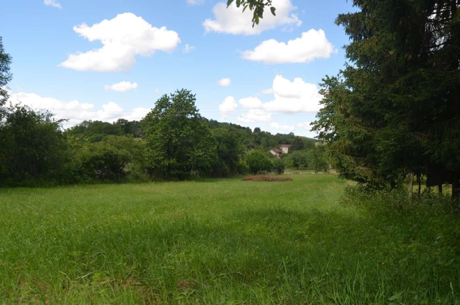 for sale terrain Digna Jura 3