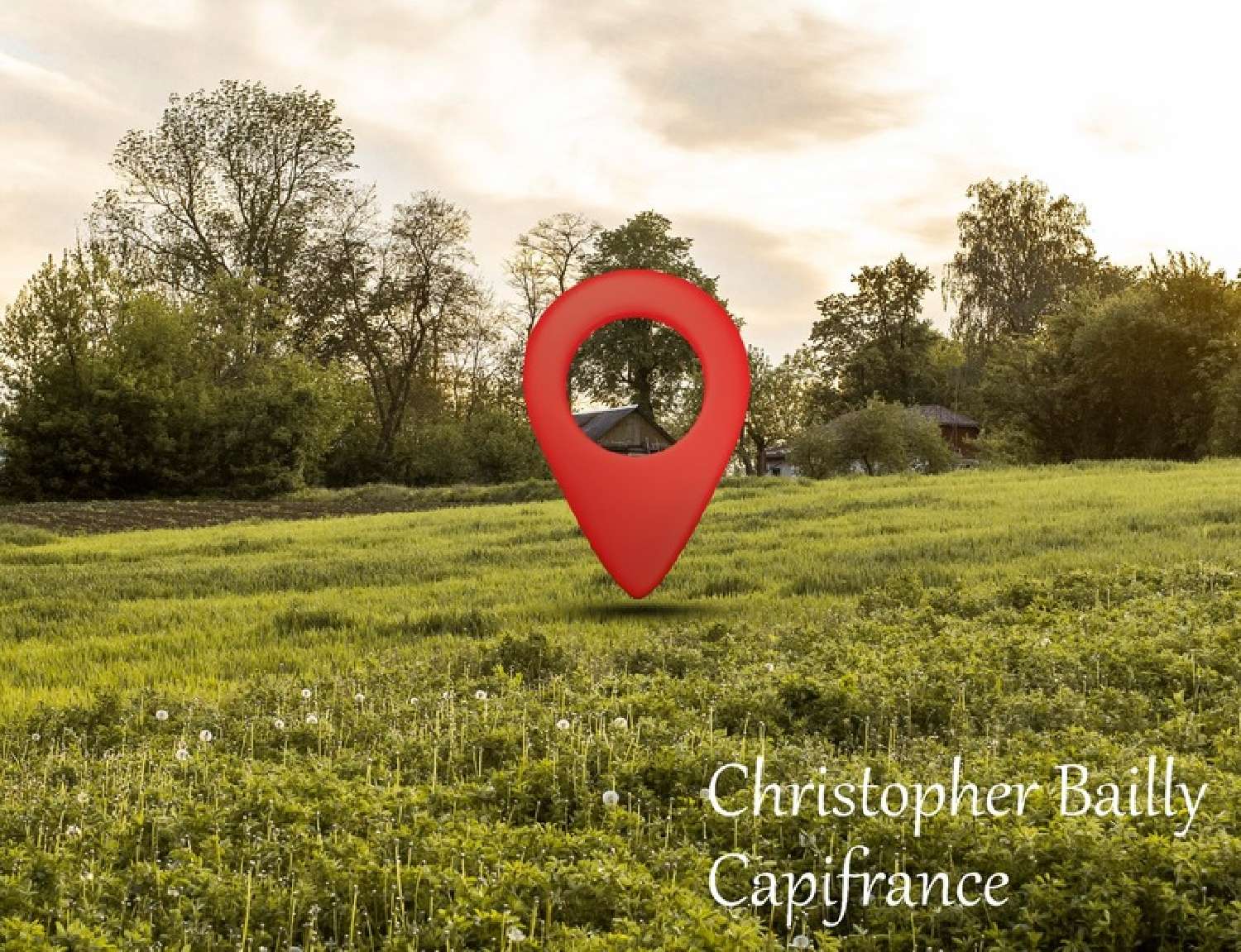  for sale terrain Diou Allier 1