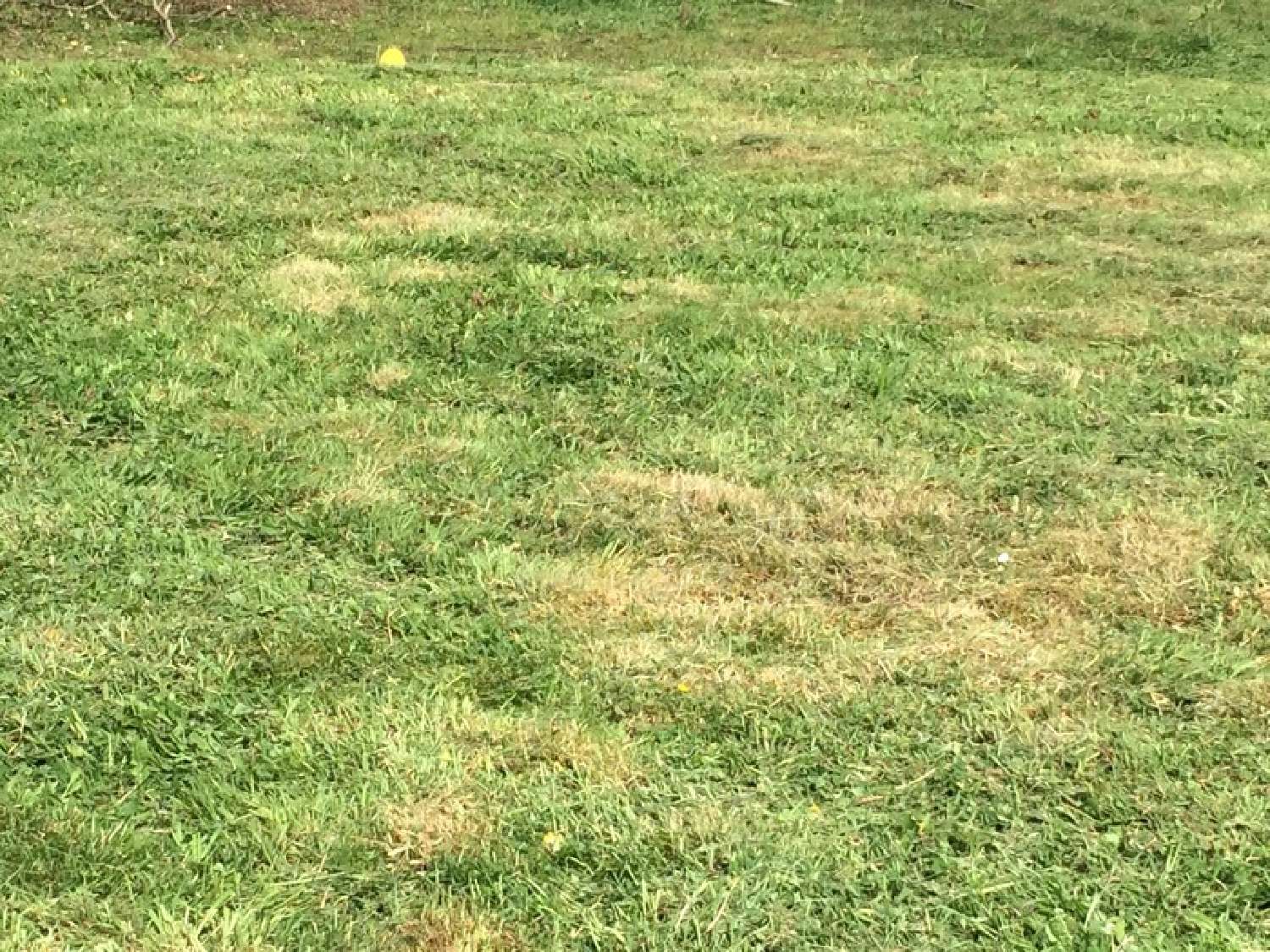 te koop terrein Elbeuf-sur-Andelle Seine-Maritime 4