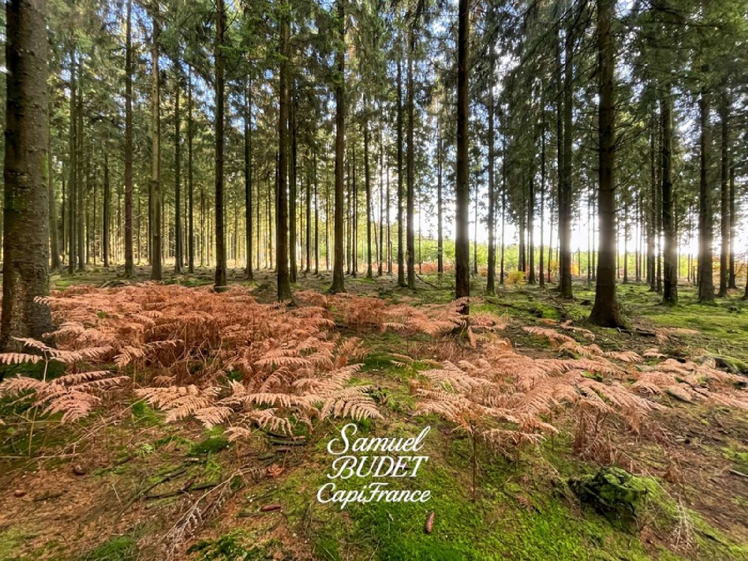  en venta terreno Forges Orne 6