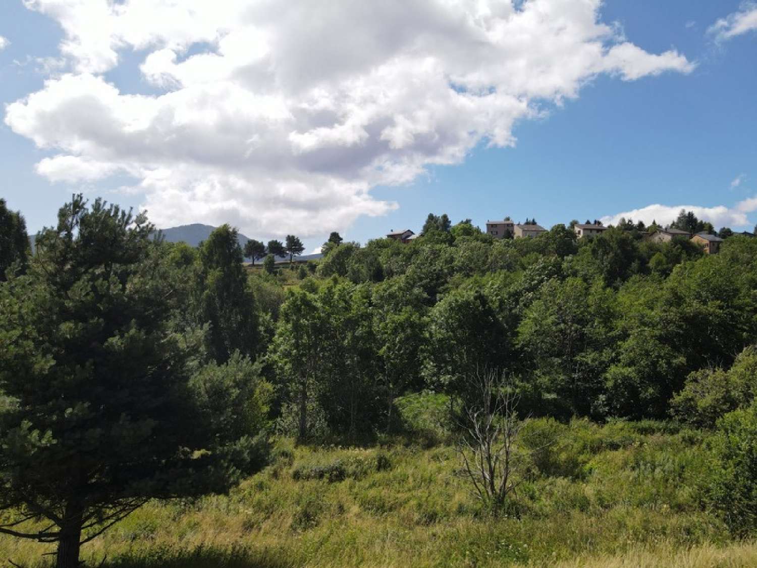 te koop terrein Formiguères Pyrénées-Orientales 7