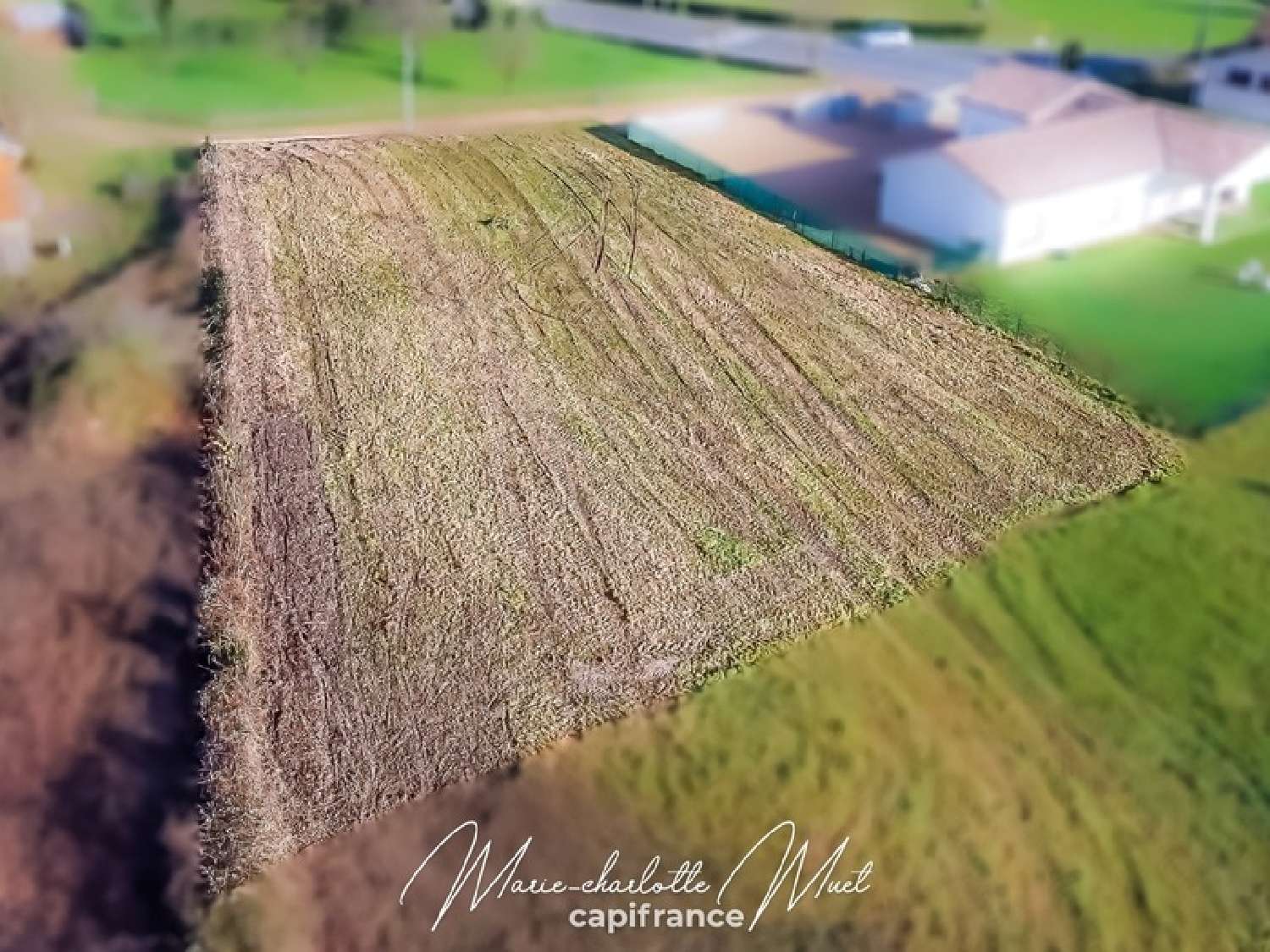 te koop terrein Gorrevod Ain 4