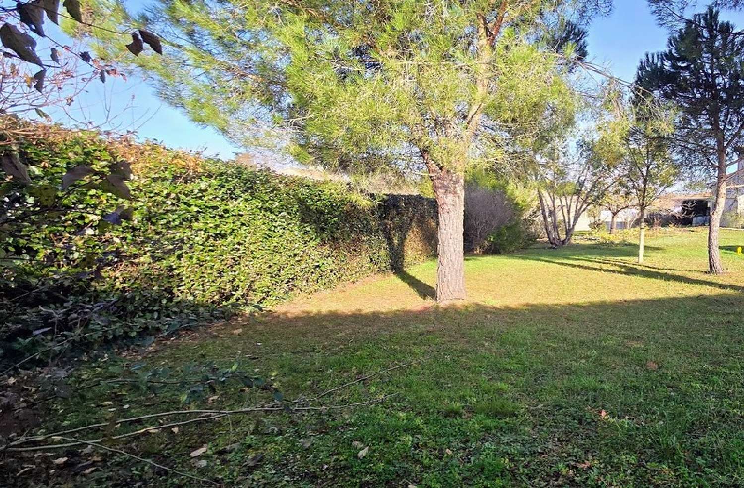 for sale terrain Gratentour Haute-Garonne 2