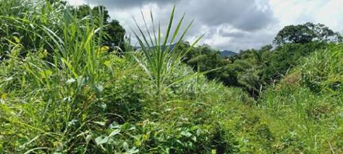 Gros-Morne Martinique terrein foto 7221108