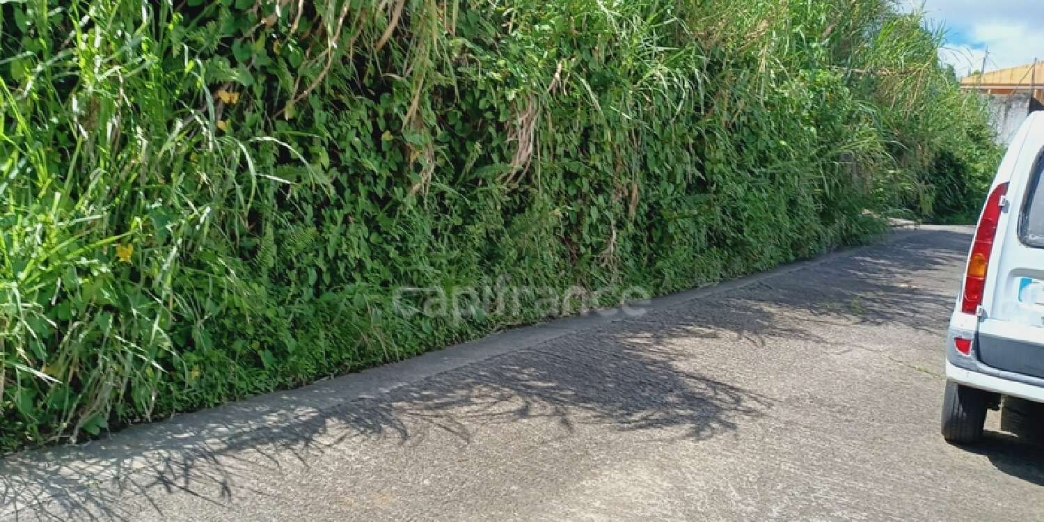 te koop terrein Gros-Morne Martinique 6