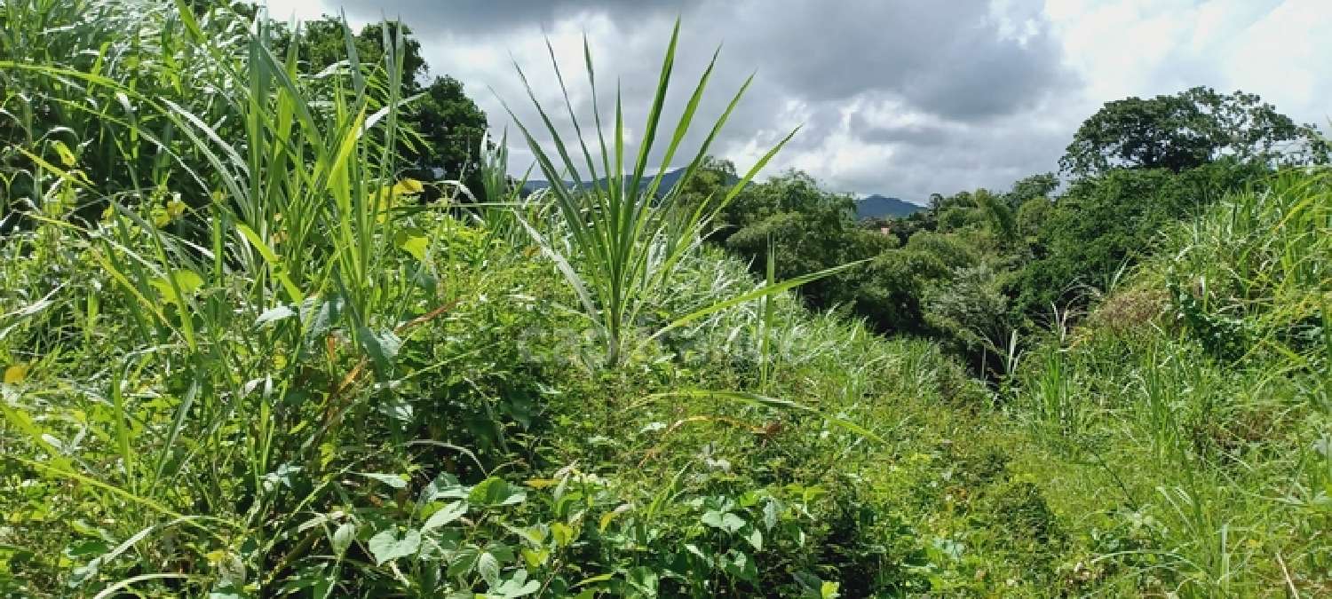  en venta terreno Gros-Morne Martinique 1