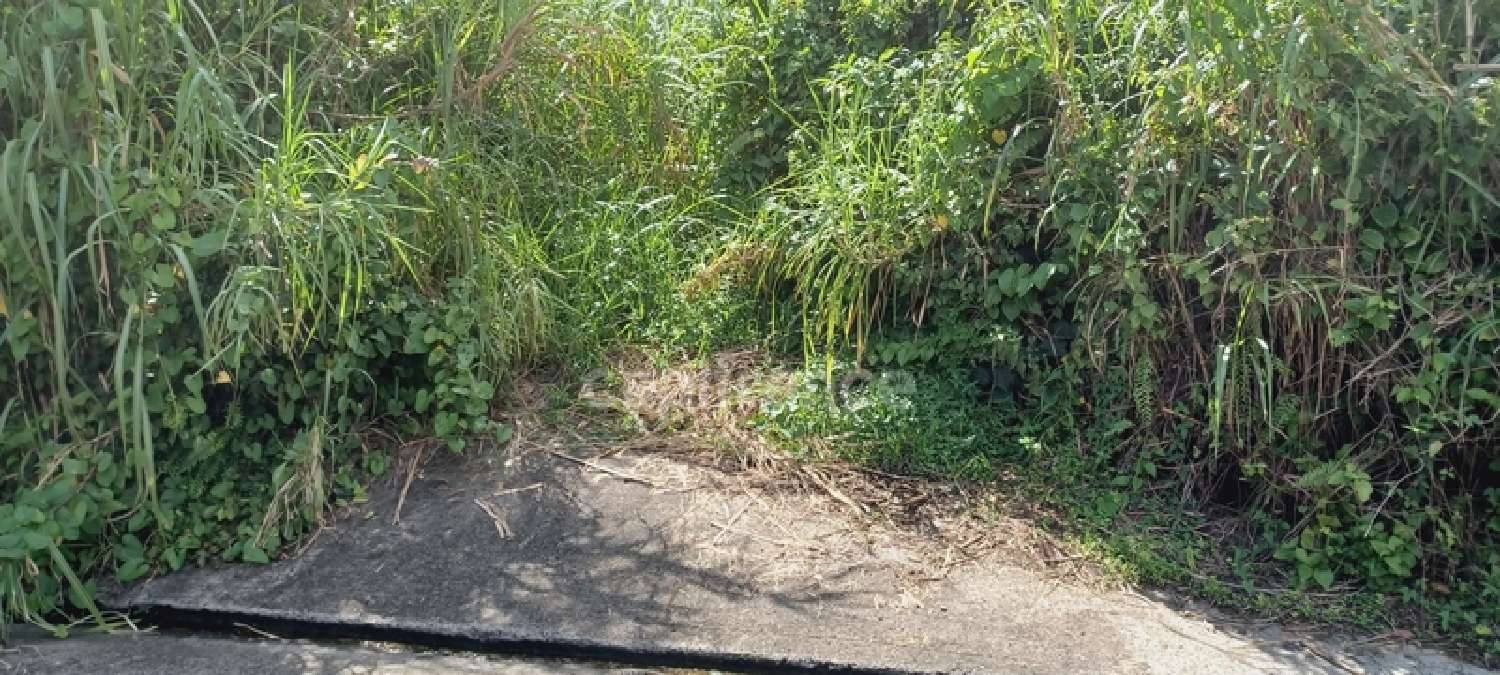  en venta terreno Gros-Morne Martinique 3